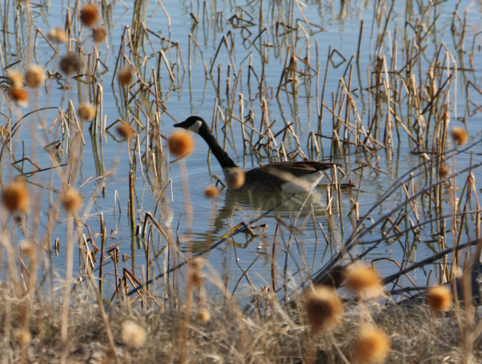 PHOTOS: Backroads